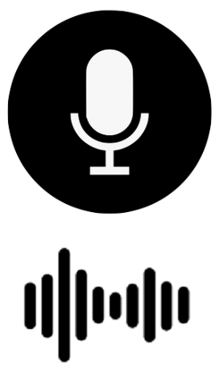 voice recording image